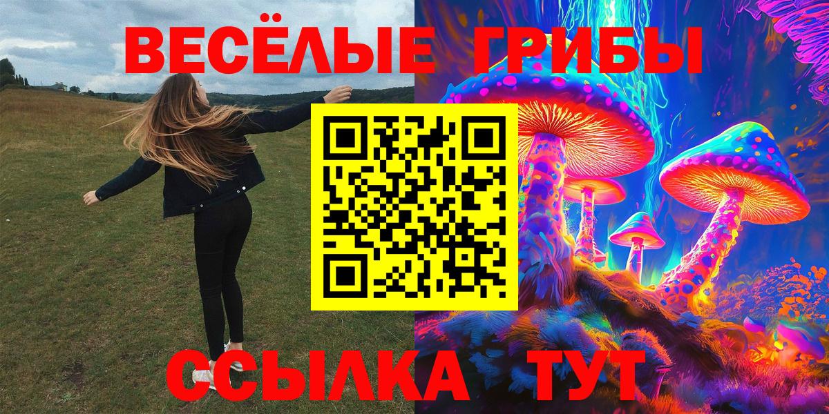 Иркутск  Галлюциногенные грибы Cubensis  Псилоцибиновые грибы прущие грибы  Вход с VPN 